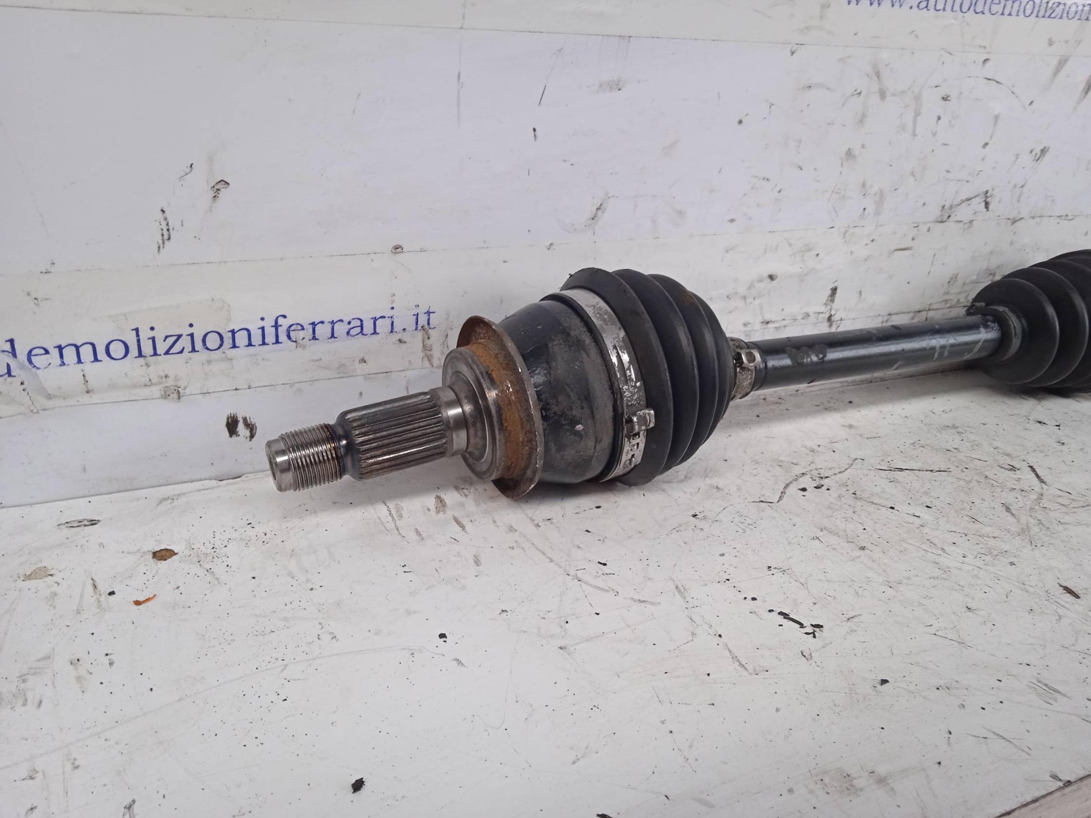 Semialbero ant. compl. sx.